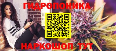 прущая мука Боровичи