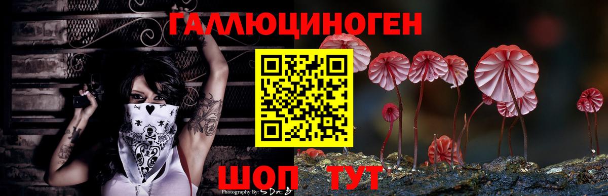 Псилоцибиновые грибы MAGIC MUSHROOMS  Вход с VPN  Нижний Тагил 